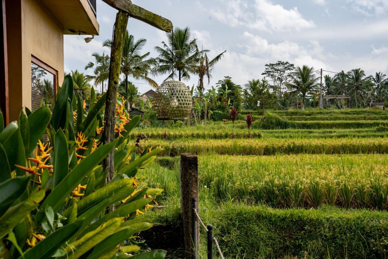 Barong Bali Villas ウブド エクステリア 写真